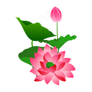 手绘卡通免扣荷花