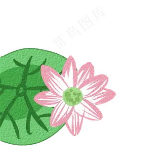 一片绿色荷叶免抠图