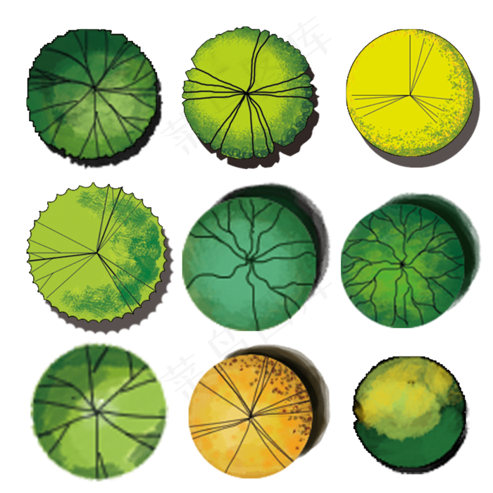 植物平面手绘设计(2000X2000(DPI:299))psd模版下载