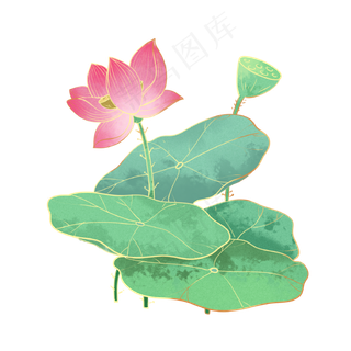 处暑国潮风荷花荷叶
