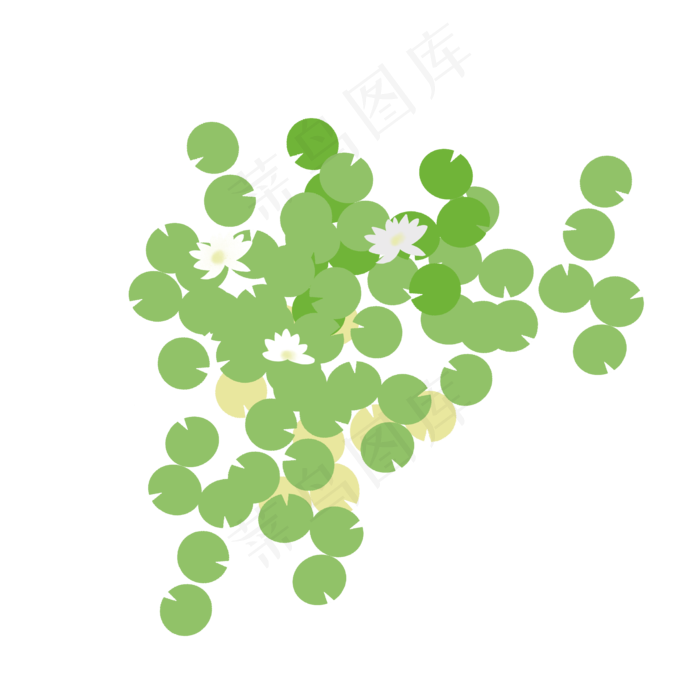 荷叶浮萍小白花