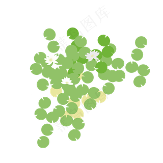 荷叶浮萍小白花