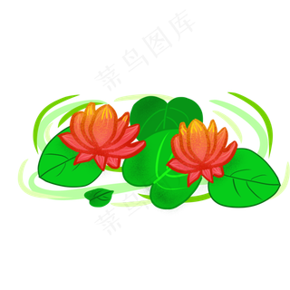 绿色的荷叶和荷花