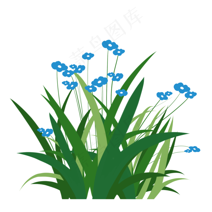 春天蓝色的小花插画