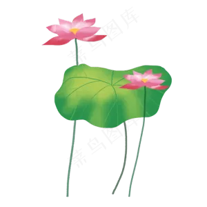 彩色荷花png素材