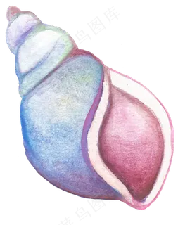 卡通手绘水彩夏日海边海螺