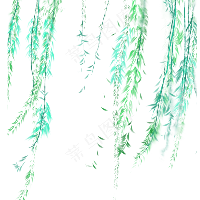 夏天立夏绿色柳叶挂枝头(2000X2000(DPI:300))psd模版下载