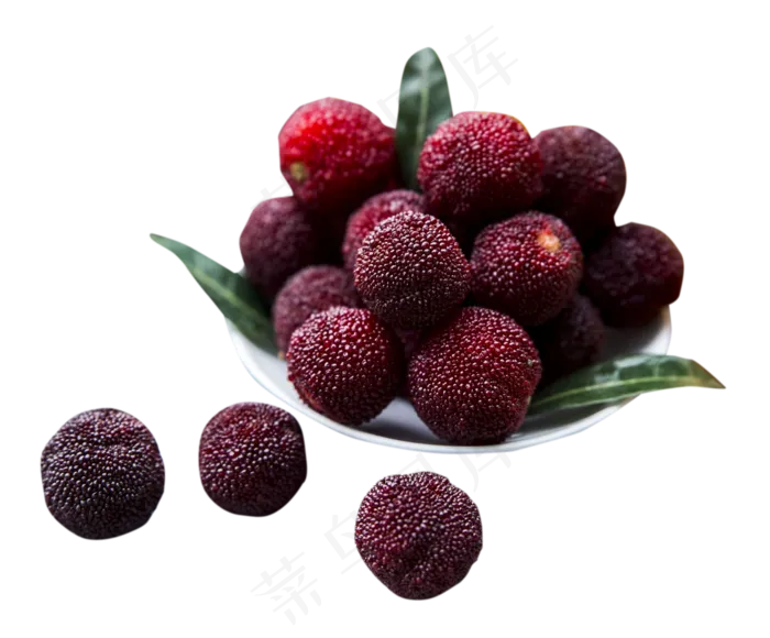 新鲜美味杨梅(1508X1250(DPI:300))psd模版下载