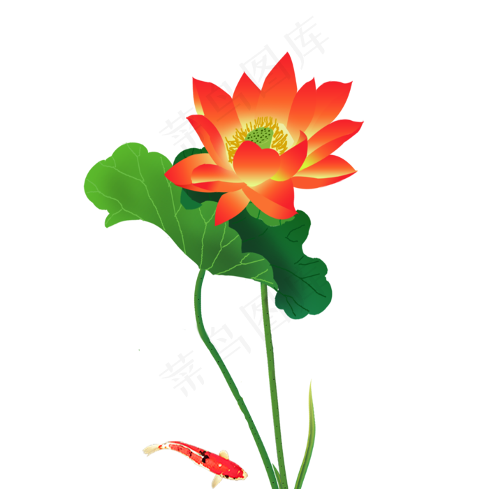 手绘荷花红荷花鱼廉洁荷花富贵有(2000X2000(DPI:150))psd模版下载