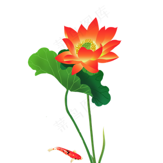 手绘荷花红荷花鱼廉洁荷花富贵有