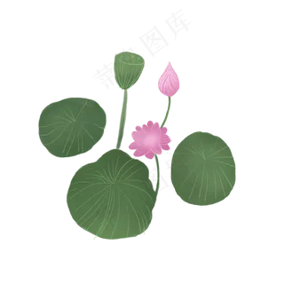 可爱手绘荷花荷叶小清新春夏天
