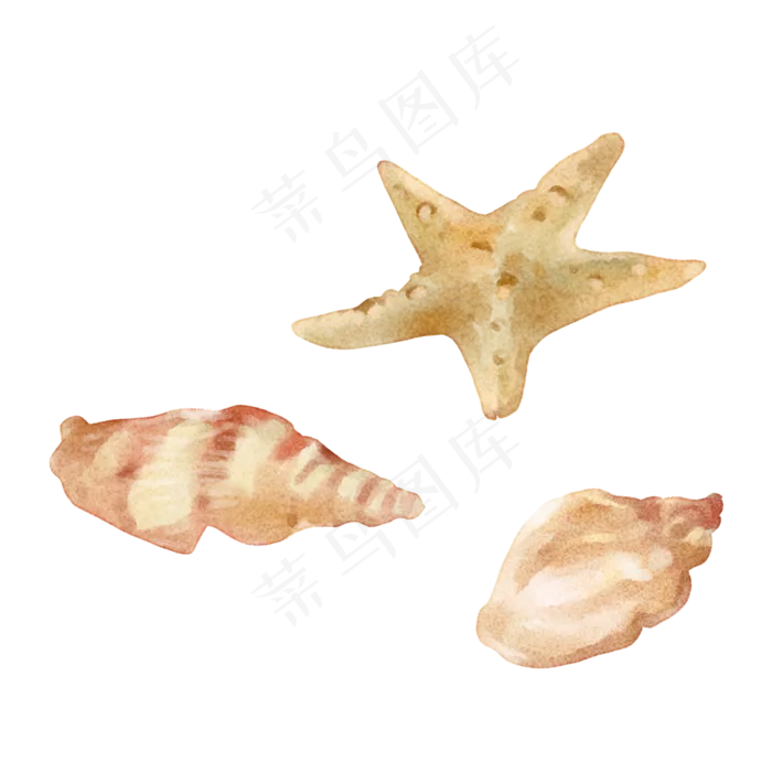 水彩风格海洋动物夏日海滩海螺海(2000X2000(DPI:300))psd模版下载