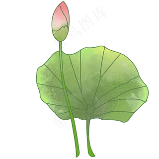 2019年水墨水彩荷花荷叶卡通