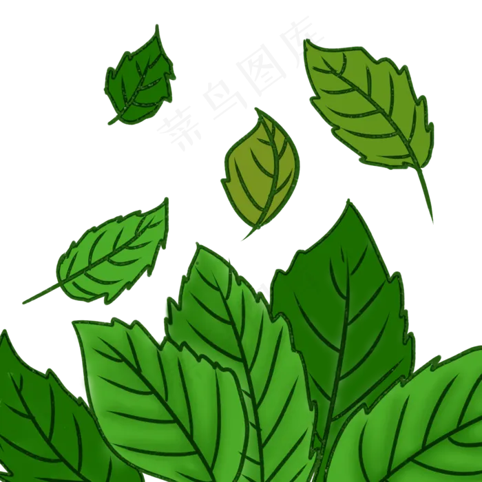 绿色植物叶子大青叶(2000X2000(DPI:299))psd模版下载