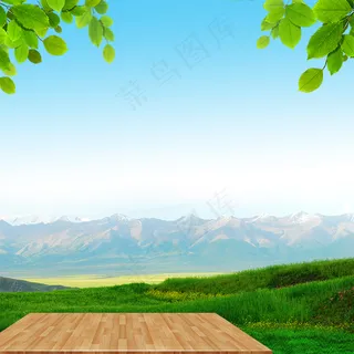 清新绿色叶子水果食品促销PSD分层主图