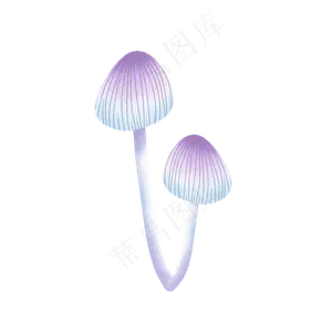 紫色的蘑菇