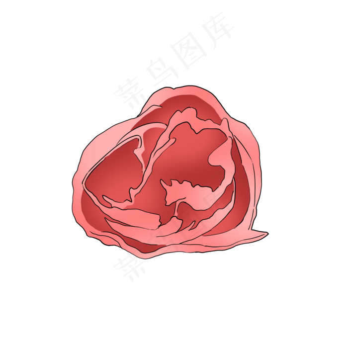 红色美丽的康乃馨手绘写实(2000X2000(DPI:300))psd模版下载