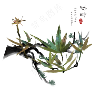 古风动物蝉素材,免抠元素