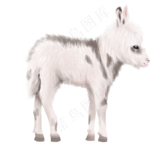 可爱白色毛驴动物,免抠元素