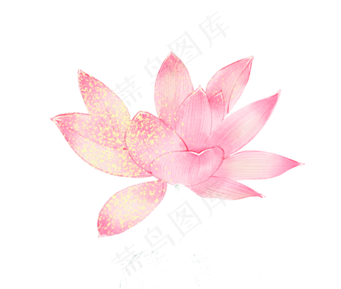 一朵荷花(1405X1192(DPI:300))psd模版下载
