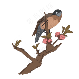 中国风手绘花鸟图,免抠元素