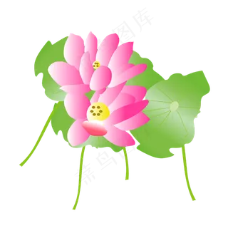 矢量免扣卡通荷花