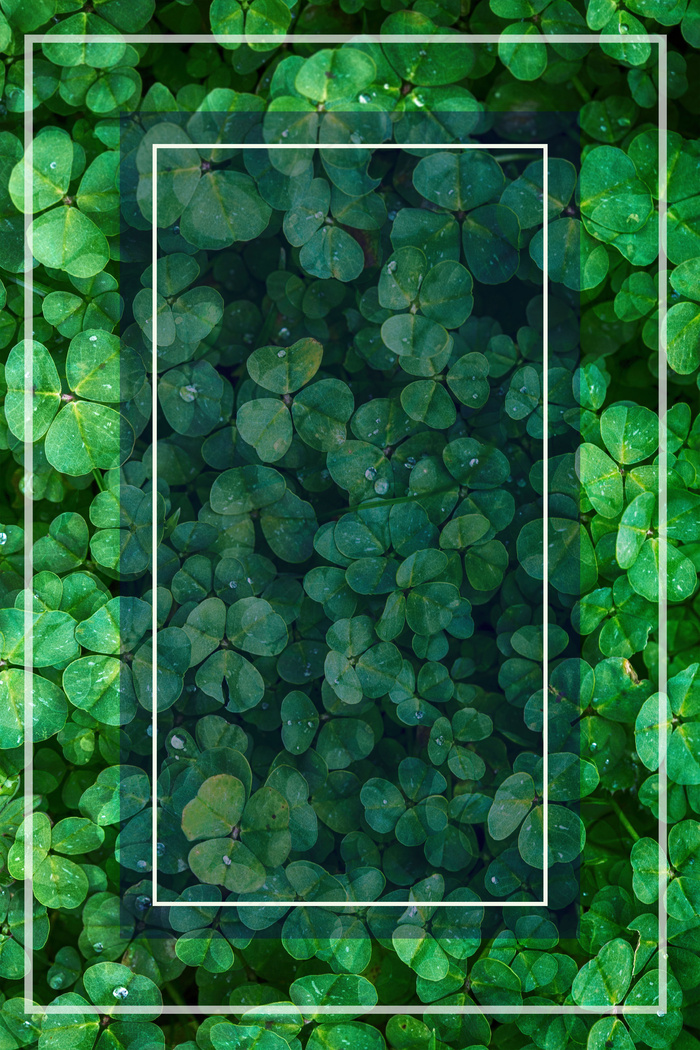 清明节中国传统psd分层banner(3545*5315px 	      )psd模版下载