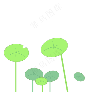夏至荷叶绿色png