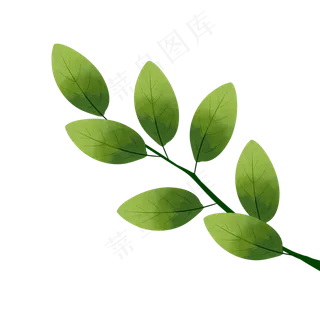 绿色植物叶子手绘橘子叶透明底免,免抠元素