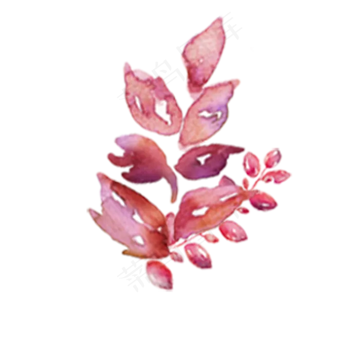 卡通粉色叶子(2000*2000px 300 dpi )psd模版下载