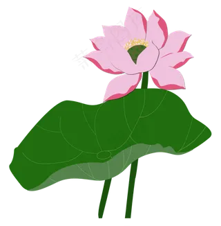 荷叶荷花剪纸风分层色彩