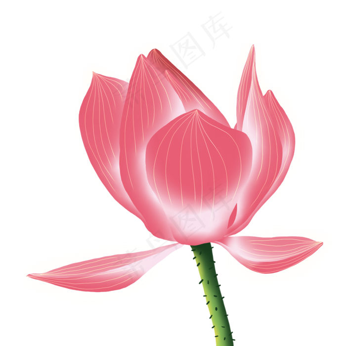 手绘花荷花元素分层国画中国风花(2000X2000(DPI:300))psd模版下载