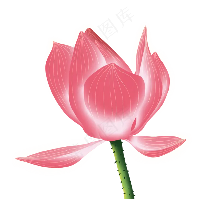 手绘花荷花元素分层国画中国风花(2000X2000(DPI:300))psd模版下载