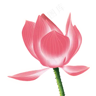 手绘花荷花元素分层国画中国风花