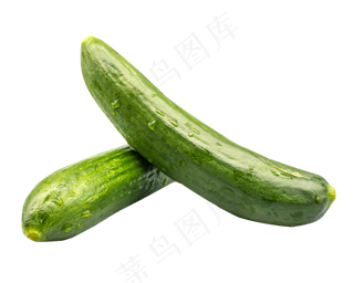 果蔬黄瓜