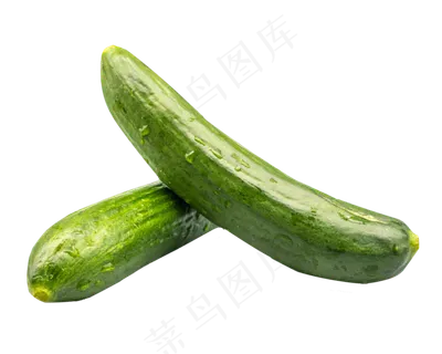 果蔬黄瓜 果蔬黄瓜