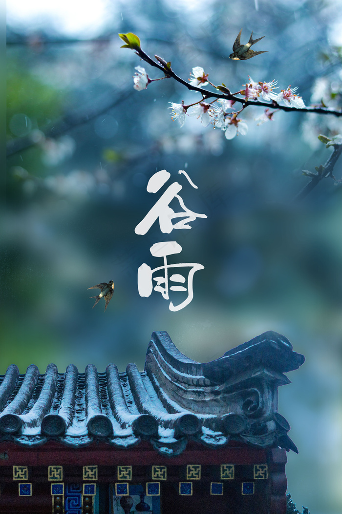 清新简约二十四节气谷雨背景
