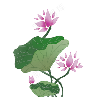 清新水彩紫色荷花图案