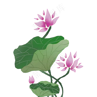 清新水彩紫色荷花图案