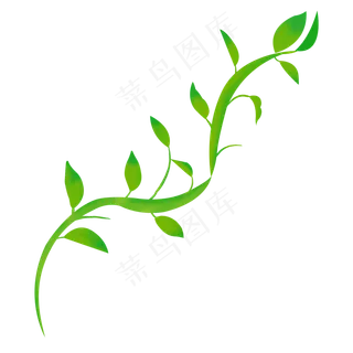 带茎植物绿叶