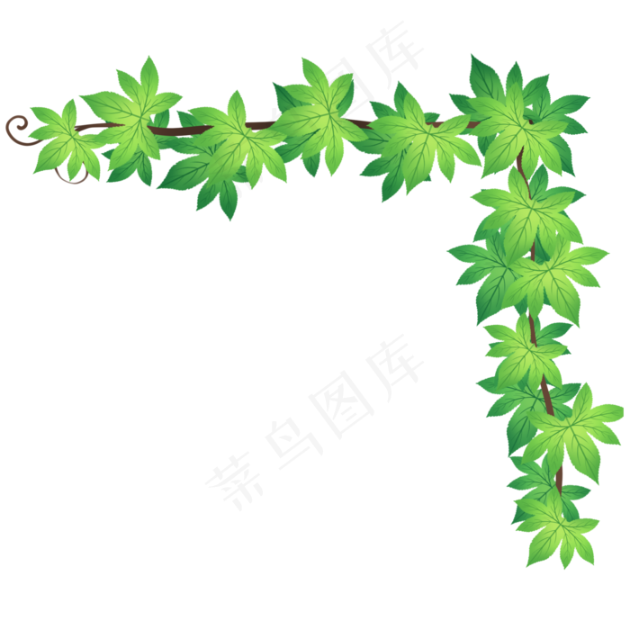 绿色植物爬山虎