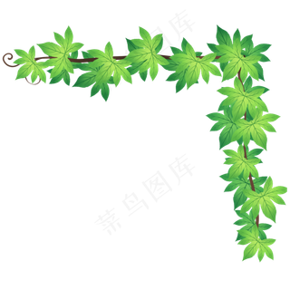 绿色植物爬山虎