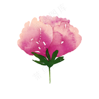 森系小清新水彩手绘绿叶花朵