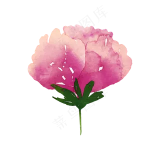 森系小清新水彩手绘绿叶花朵