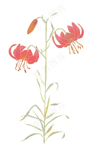 古风复古鎏金花卉彼岸花