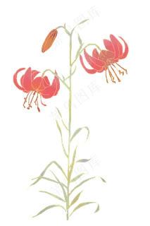 古风复古鎏金花卉彼岸花 古风复古鎏金花卉彼岸花