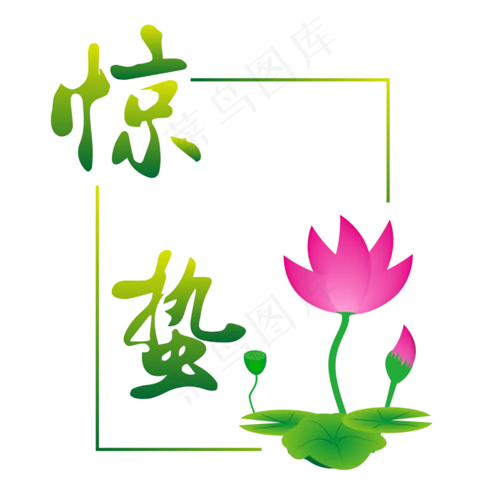 二十四节气之惊蛰荷花