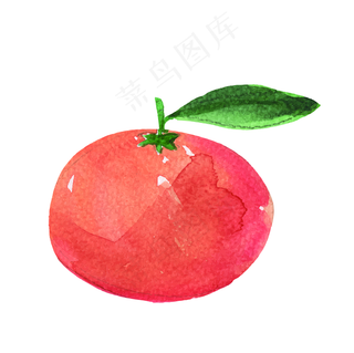 矢量手绘橘子水果素材