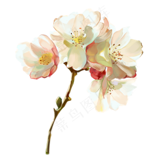 木兰科属辛夷花木兰花