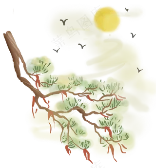 松树和飞鸟,免抠元素